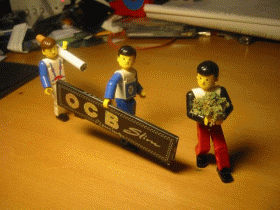 ALLEZ les playmobil